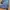 Nike Streetwear Sportswear Sweatpants & Joggers Pria blue photo 5