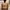 H&M Indie Minimalist Crop Top Wanita Orange