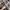 Custom Bleach Burberry Polo Shirt photo 10