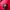 Dickies Outdoor Jacket Saku Samping L – Hidden Hoodie. photo 10