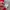 Nike Biker Sportswear Jersey Pria red black photo 6