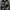 Sportswear Pria gray photo 2