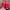 Sportswear Pria Red