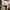 Adidas Lightshift  photo 6