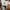 Adidas Lightshift  photo 7
