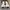 Adidas Lightshift  photo 2