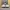 Adidas Lightshift  photo 4