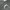 SPAO REWORK HANDPAINTED - MOON KNIGHT photo 4