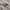 Tsumori Chisato Streetwear Y2K Other Wanita multicolor photo 4