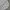 Japanese Brand Vintage Casual Formal Shirt Pria White