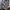JanSport Minimalist Kids white black photo 1