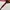 VINTAGE ROXY CARLA RX5074 TORTOISE SUNGLASSES photo 8