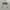 VINTAGE ROXY CARLA RX5074 TORTOISE SUNGLASSES photo 6