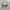 VINTAGE ROXY CARLA RX5074 TORTOISE SUNGLASSES photo 7
