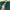 Fila Streetwear Pria green photo 2