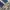VINTAGE LEE RIDERS REGULAR STRAIGHT FIT BLUE JEANS photo 5