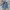 LEVI'S SIGNATURE GOLD CARPENTER BLUE JEANS