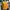 Margherita Pizza Long Sleeve Cotton Shirt in Mustard photo 5