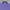 Calvin Klein Streetwear Casual Formal shirt Pria purple photo 3