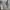 ZARA Luxury Minimalist Shirt Wanita white black photo 3