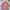 Blouse Pink Kawai Jiraikei Bye-bye Atasan Wanita photo 4