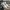 Nike Streetwear Sportswear Sneakers Pria gray photo 3