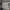Nike Streetwear Sportswear Sneakers Pria gray photo 5