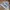 New Balance Casual Sneakers Pria white gray photo 1