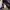 SHEIN tie die Lace  photo 3