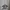 Vintage Windbreaker Pria white photo 4