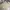 Beverly Hills Polo Club Vintage Parka Pria cream photo 8