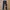 Beams selvedge not TCB jeans not Oni denim not Momotaro jack photo 8