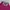 Converse Casual Parka Wanita pink photo 5