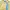 Angel Blue Vintage Streetwear T-shirt Pria yellow photo 4