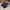 Adidas Casual Sneakers Pria black photo 3