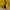 CARHARTT NIMBUS YELLOW PULLOVER WINDBREAKER JACKET photo 7