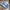 Adidas Casual Sneakers Pria blue photo 1