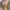 Korean premium blazer double breasted photo 3