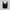 Black Square Neck Crop Top Basic Fitted Tank Top Sexy