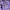 Casual Jumper Pria purple photo 2