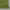 Casual Short Pria green photo 2
