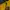 Kappa Skater Track jacket Pria yellow photo 4