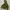 Kolon Sport Technical Leader Camo Outdoor Jacket