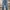 Philipp Plein Luxury Grunge Jeans Pria blue photo 1