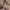 Vintage Casual Evening dress Wanita cream blue photo 4