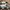 jual sepatu nike basket photo 2