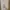 Rok lilit cream korea photo 2