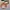 Tas Coach Vintage Rare photo 3