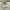 Casual Boots Pria cream photo 1