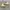 Casual Boots Pria cream photo 5